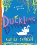 Duckling - Kamila Shamsie, Laura Barrett (ilustrácie), Vintage, 2020