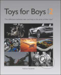 Toys for Boys 2 - Patrice Farameh, Tectum, 2009