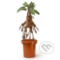 Plyšák Harry Potter: Mandragora, interaktívne (Noble Collection). Noble Collection, 2020