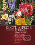 Encyklopedie tulipánů, hyacintů, begonií - Lenka Křesadlová, Stanislav Vilím, CPRESS, 2010