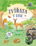 Kniha: Zvířata v lese (Friederun Reichenstetter). Bookmedia, 2025