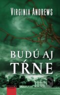E-kniha: Budú aj tŕne (Virginia C. Andrews), 2020
