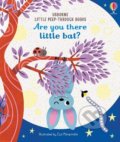 Are You There Little Bat? - Sam Taplin, Essi Kimpimaki (ilustrátor), Usborne, 2020