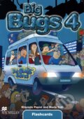Big Bugs 4 - Flashcards