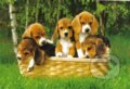Puzzle: Beagle šteniatka (Trefl)