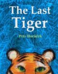 The Last Tiger - Petr Horáček, Otter-Barry Books, 2020