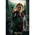 3D puzzle Harry Potter: Hermione, Harry Potter, 2020