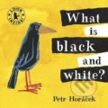 What Is Black and White - Petr Horáček, Walker books, 2009