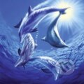 Hra delfínov - Joh Naito, Schmidt