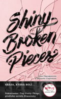 Shiny Broken Pieces (český jazyk) - Sona Charaipotra, Dhonielle Clayton, #booklab, 2021