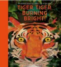 Kniha: Tiger, Tiger, Burning Bright! (Fiona Waters). Nosy Crow, 2020