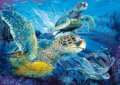 Morské korytnačky, Clementoni