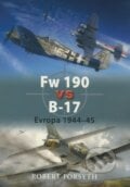 Fw 190 vs B–17 - Robert Forsyth, Grada, 2010