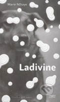 Ladivine - Marie NDiaye, 2021
