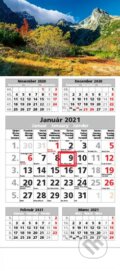 Štandard 5-mesačný sivý nástenný kalendár 2021 - hory, Spektrum grafik, 2020