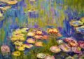 Puzzle: Claude Monet - Nymphéas (Bluebird). Bluebird, 2021