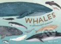 Whales - Kelsey Oseid, 2018