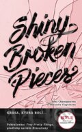 Shiny Broken Pieces (český jazyk) - Sona Charaipotra, Dhonielle Clayton, Slovart CZ, 2021