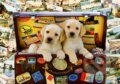 Puzzle: Two Travel Puppies (Bluebird). Bluebird, 2021
