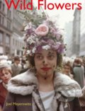 Kniha: Joel Meyerowitz: Wild Flowers (Joel Meyerowitz a Maggie Barrett). Damiani, 2021