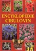 Kniha: Encyklopedie cibulovin (Autorský kolektív). Rebo, 2001