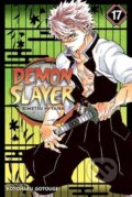 Demon Slayer: Kimetsu no Yaiba (Volume 17) - Koyoharu Gotouge, Viz Media, 2020