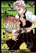 Kniha: Demon Slayer: Kimetsu no Yaiba (Volume 17) (Koyoharu Gotouge)