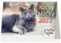 Kočky/Mačky, Helma365, 2021