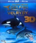 Delfíni a velryby 3D: Tuláci oceánů (3D verzia) - Jean-Jacques Mantello, Bonton Film, 2008