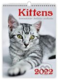 Kittens/Katzenbabys/Koťátka/Mačičky, Helma365, 2021