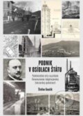 Kniha: Podnik v osídlach štátu (Štefan Gaučík)