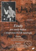 Etudy pro malý buben i soupravu bicích nástrojů - Miloš Veselý, Vladimír Beneš, 2003