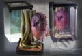Magical creatures - Pastelníček 18 cm (Fantastická zvířata), Noble Collection, 2021