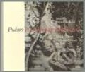 Kniha: Psáno na obrazy hřbitovů (Petra Růžičková). Aleš Prstek, 2010