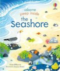 The Seashore - Anna Milbourne, Simona Dimitri (ilustrátor), Usborne, 2021