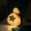 Box svetlo - Animal Crossing - 