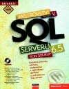 Mistrovství v Microsoft SQL Serveru 6.5 - Ron Soukup, Computer Press
