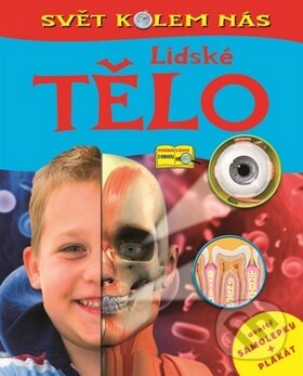 Kniha: Lidské tělo (Rebo). Rebo, 2011