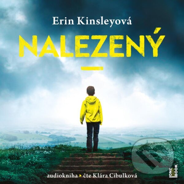 Nalezený - Erin Kinsleyová
