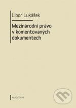 Levně Mezinárodní právo v komentovaných dokumentech - Libor Lukášek - kniha z kategorie Medzinárodné právo