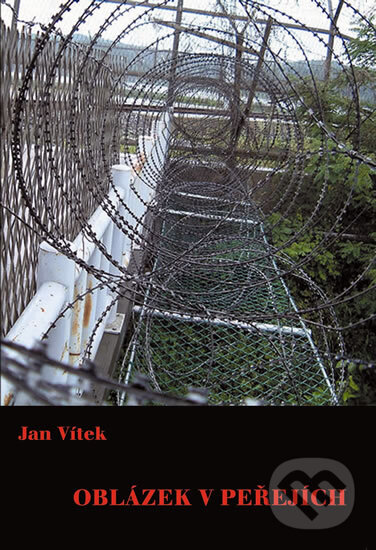 Levně Oblázek v peřejích - Jan Vítek - kniha z kategorie Životopisy