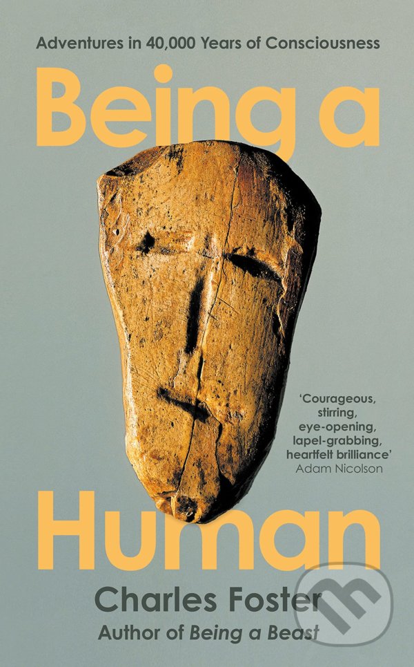 Levně Being a Human (Adventures in 40,000 Years of Consciousness) - kniha z kategorie Matematika