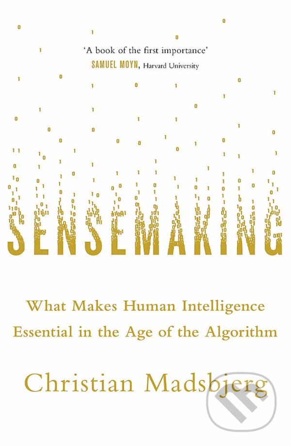 Levně Sensemaking (What Makes Human Intelligence Essential in the Age of the Algorithm) - kniha z kategorie Psychológia