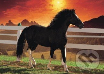 Kôň pri západe slnka, 