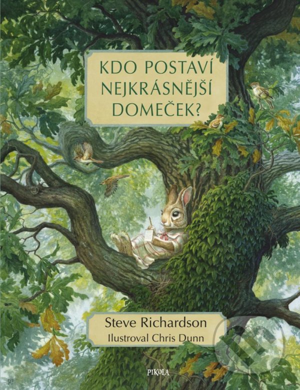 Levně Kdo postaví nejkrásnější domeček? - Steve Richardson, Chris Dunn (ilustrátor) - kniha z kategorie Beletria