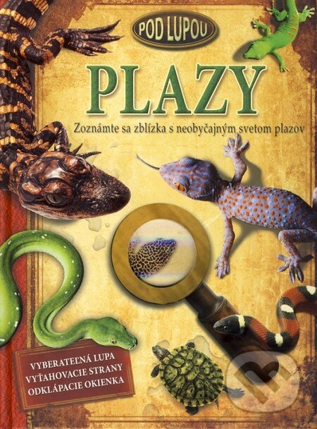 Plazy, Junior, 2011