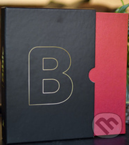Levně Bible překlad 21. století XL (Bordeaux) - kniha z kategorie Biblia