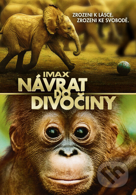 Film: Návrat do divočiny (David Lickley) (DVD)