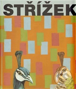 Levně Střížek - Martin Dostál - kniha z kategorie Umenie, dizajn a architektúra