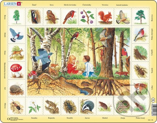 Levně Les (NA4) - puzzle z kategorie Náučné puzzle